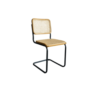 Brionna Stainless Teak with Rattan Dining Chair